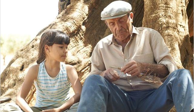 5月20日から公開！スペイン映画「オリーブの樹は呼んでいる」